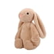 thumbnail image 1 of Conejito de caramelo - Happy Hues - Lapin en Peluche Doux et Câlin - Lavable - Dès 0 mois -brun -30cm, 1 of 5
