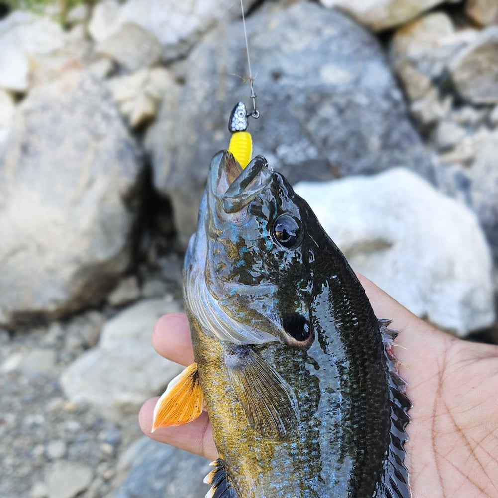 Fathead Minnow Style Jig Head,Crappie Jig Heads 25pc/case Jig Heads Hook Lure Fishing Jigs Heads for Crappie, Trout, Perch, and Bass Fishing.
