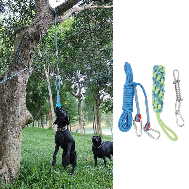 Dog shop bungee rope