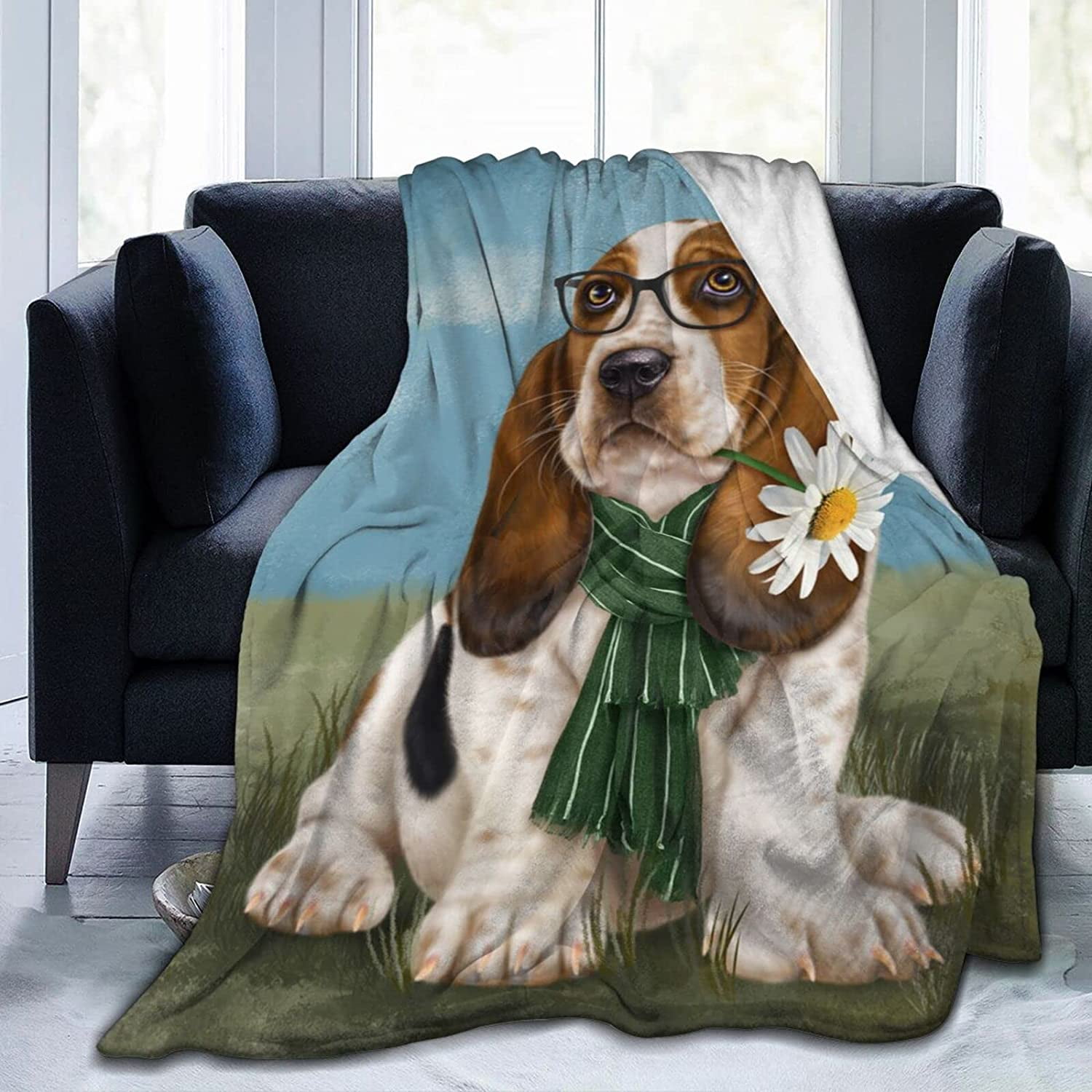 basset hound couch