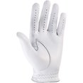 thumbnail image 2 of FootJoy StaSof Golf Glove, 2 of 3