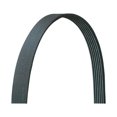 thumbnail image 2 of Dayco 5061130DR Serpentine Belt Fits select: 1992-1993 FORD F350, 1992-1993 FORD F250, 2 of 2