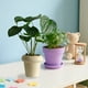 thumbnail image 5 of Simulation Plants Decorative Small Potted Plants Office Living Room Desktop Indoor Bonsais Ornaments Bionics Fake Flowers And Greenerys, 5 of 6