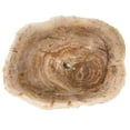 thumbnail image 4 of Novatto NOSV-FW Natural Petrified Fossil Wood Vessel Sink, Irregular Shape and Color, 4 of 4