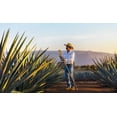 thumbnail image 2 of Pack de 3 Tequila Maestro Dobel Diamante S/Estuche 700 ml, 2 of 3