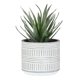 thumbnail image 1 of Toystoory Plantas suculentas de larga duración - Plantas suculentas de aspecto natural y bajo mantenimiento Falsas Decoración, 1 of 6