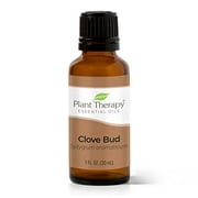 Plant Therapy Clove Bud Essential Oil 100% Pure, Undiluted, Natural Aromatherapy, Therapeutic Grade 30 ml (1 oz)