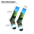 thumbnail image 3 of Saiise Bluey Funny Socks Men Women Boys Kids Adults Novelty Graphic Crew Tube Socks Crazy Design Casual Dress Socks for Sports,Running,Travel, 3 of 7