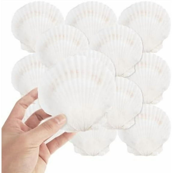 24 Pack 4-5 Inch White Sea Shells, White Scallop Shells, Large Natural Sea Shells for Crafts DIY, Seashell Beach Decorations for Home Decor Baking Cooking Serving Food$$Home Decor, Kitchen, & Other
