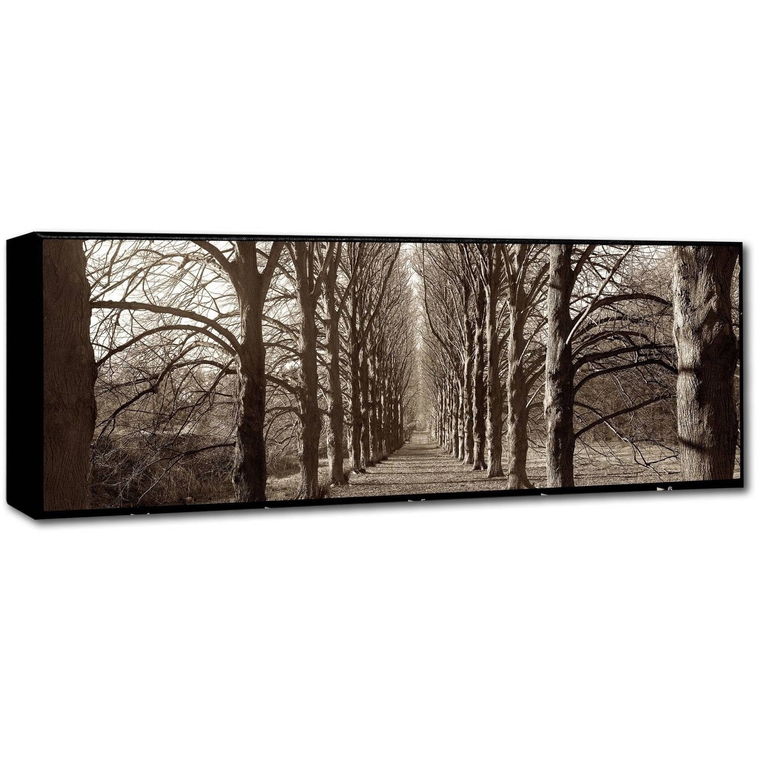 Trademark Fine Art Alan Blaustein Hampton Gates Promenade I Canvas Wall Art - 10x32