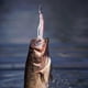 thumbnail image 3 of Señuelo de pesca de pulpo suave portátil 4g/12cm falda de calamar hueca ultraligera cebo Artificial aparejos de pesca de plástico 4g, 3 of 5