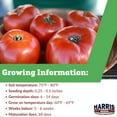 thumbnail image 3 of Harris Seeds Primo Red Tomato Seeds -Treated - Hybrid Non-GMO - 5K Seeds, 3 of 7