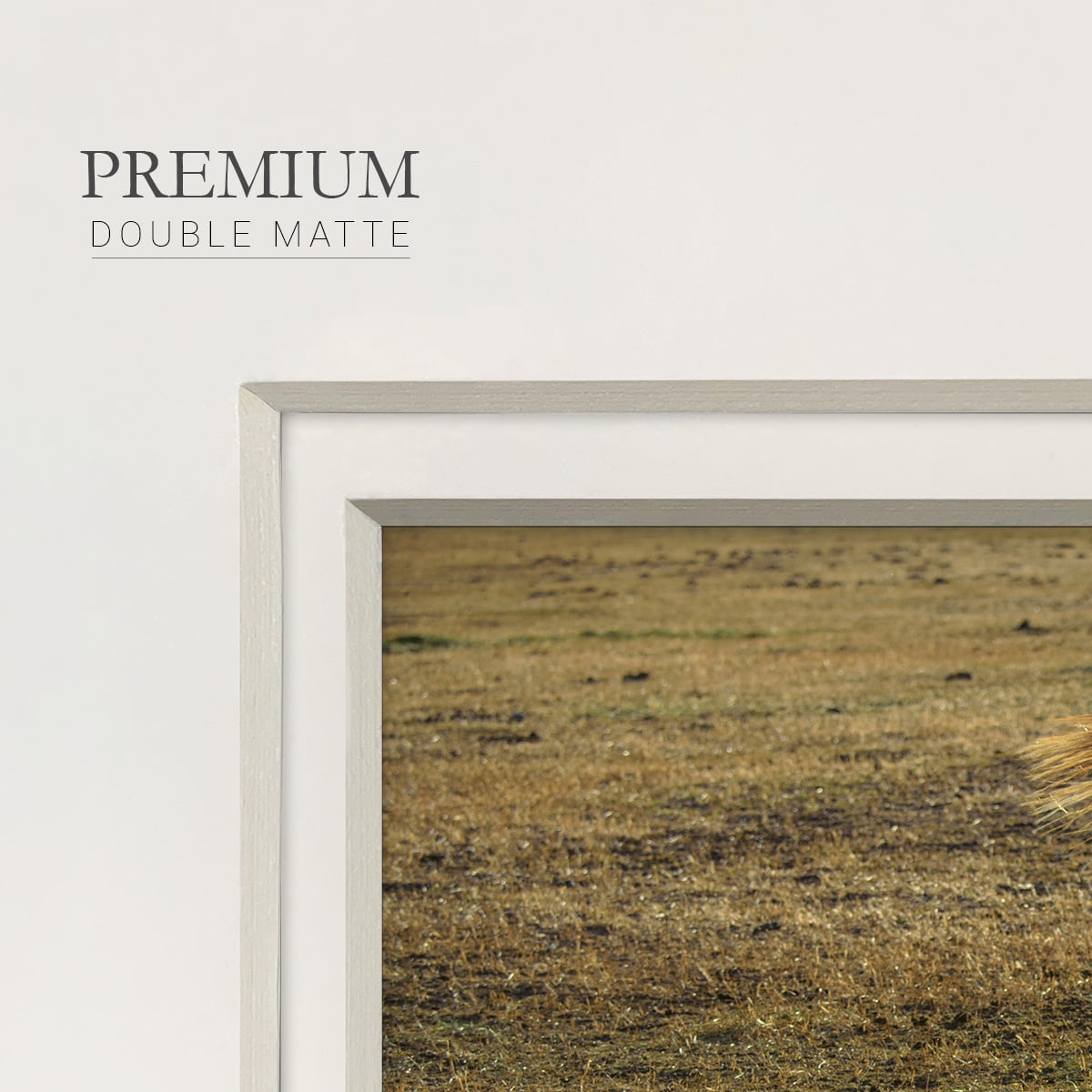 Long ShadowPremium Framed Print