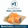 thumbnail image 3 of Purina ONE +Plus Skin & Coat Salmon, Dry Dog Food, 3 of 5