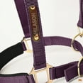 thumbnail image 3 of Small HILASON Western Horse Top Grade Nylon Comfortable & Flexible Halter, 3 of 3