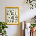 thumbnail image 6 of Aegean Collection II -Framed Print w/glass-Sunflower Yellow, 6 of 7