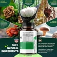 thumbnail image 3 of Healblend 100% Natural Lions Mane Mushroom Supplement - Supports Immune System, Mental Clarity, Memory & Focus, Stimulates Mood - 2-Pack, 3 of 9
