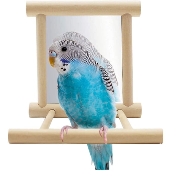 Bird Parrot Mirror Toy Swing Hanging with Perch for Parrot Parakeet Budgies Cockatiel Conure Finch Lovebird (D)