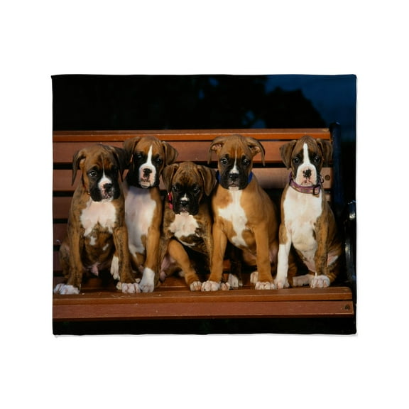 CafePress - Boxer Pups Throw Blanket - Soft Fleece Throw Blanket, 50"x60" for All Ages