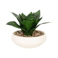 thumbnail image 1 of DesignOvation 6.25"H Artificial Snake Plant in White Ceramic Pot, 1 of 8