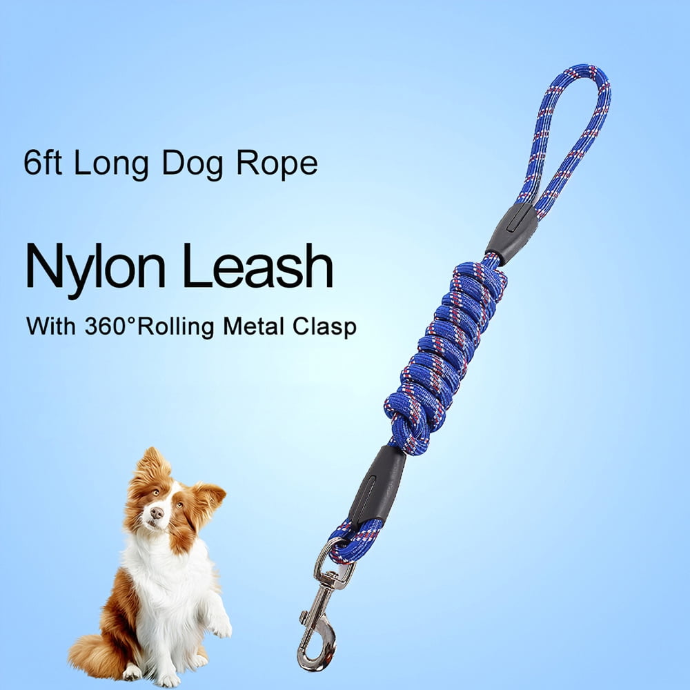 chain dog leash 6ft