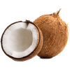 Fresh Coconut, Each, 1 Count