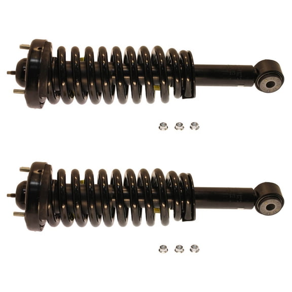 BuyAutoParts Shock and Strut Set 77-74829C8