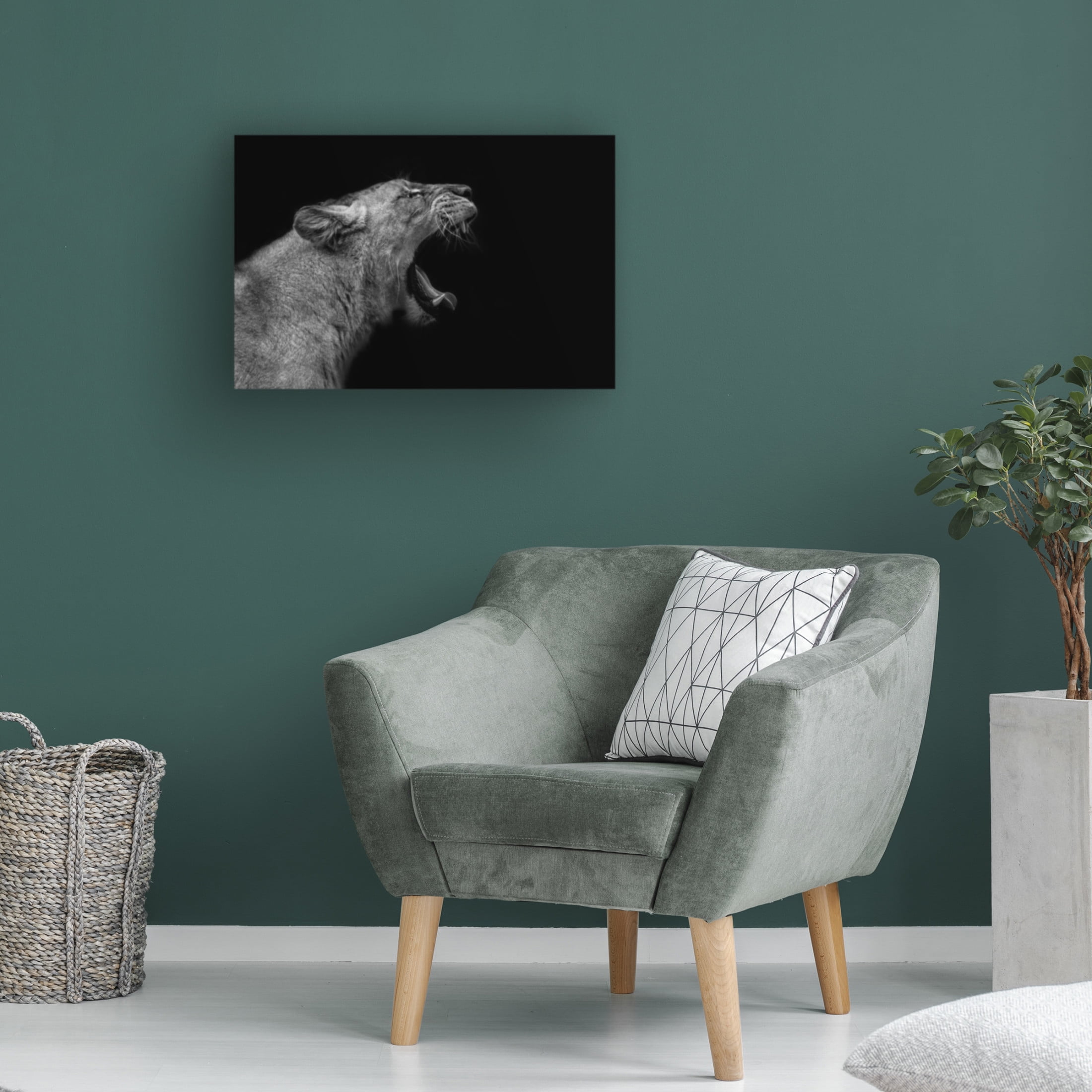 Trademark Fine Art Nauzet Baez Photography Lioness In Low Key Canvas Wall Art