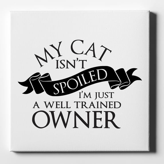 Cat Isn't Spoiled Well Trained Owner - 10" x 10" - Decorative Canvas Wall Art - White Edge - 5/8" Gallery Wrapped
