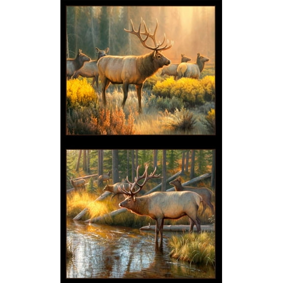 24" X 44" Panel Elk Wildlife Animals Nature Scenic Northwoods Morning Glory Cotton Fabric Panel (9204BLACK)