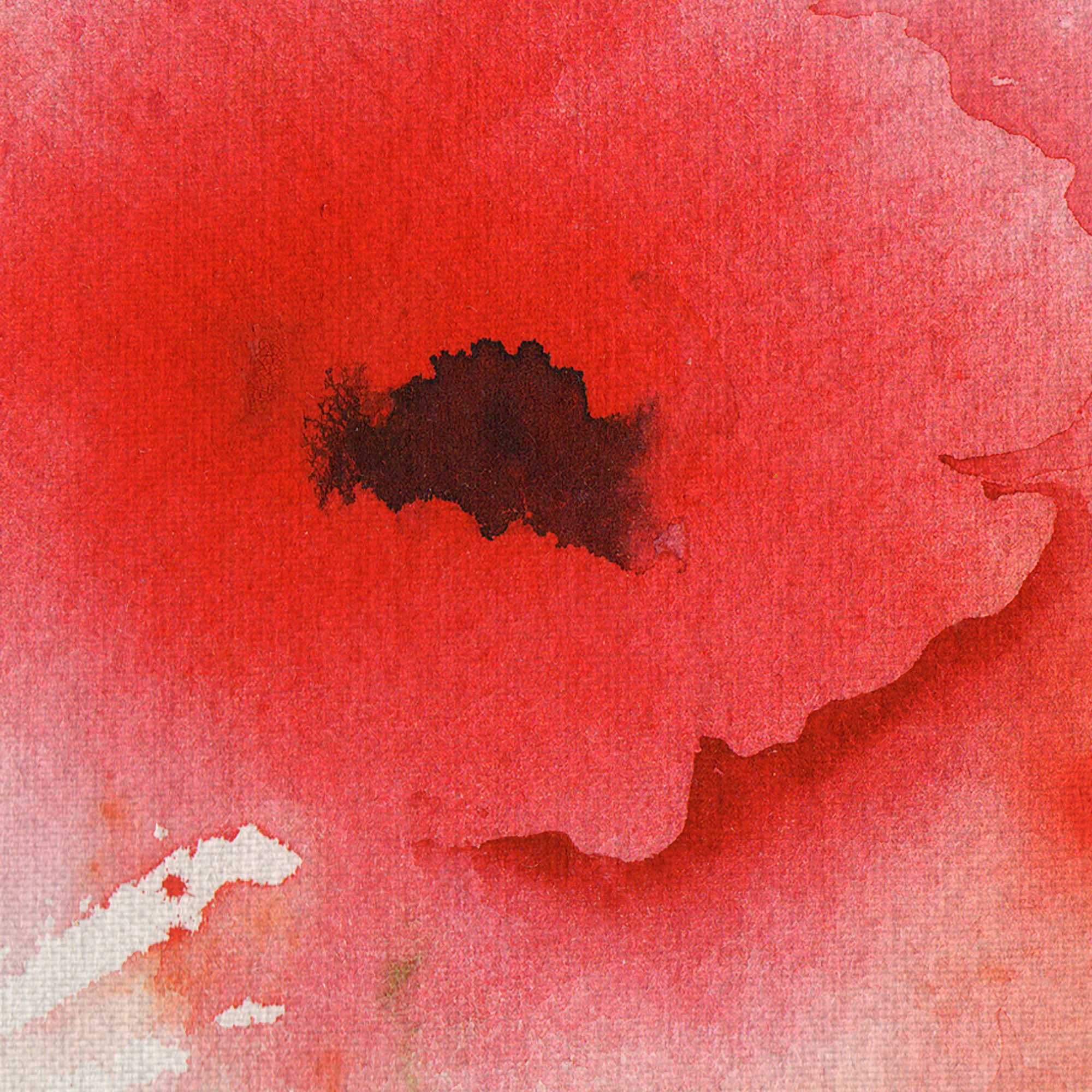 Masterpiece Art Gallery Red Poppies by Sheila Golden Canvas Art Print 30" x 40"