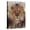 Canvas, variant on Art.com Lion Stretched Canvas Print Wall Art, 12" x 16"