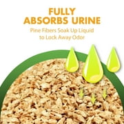 Feline Pine Original Cat Litter, 40 lb
