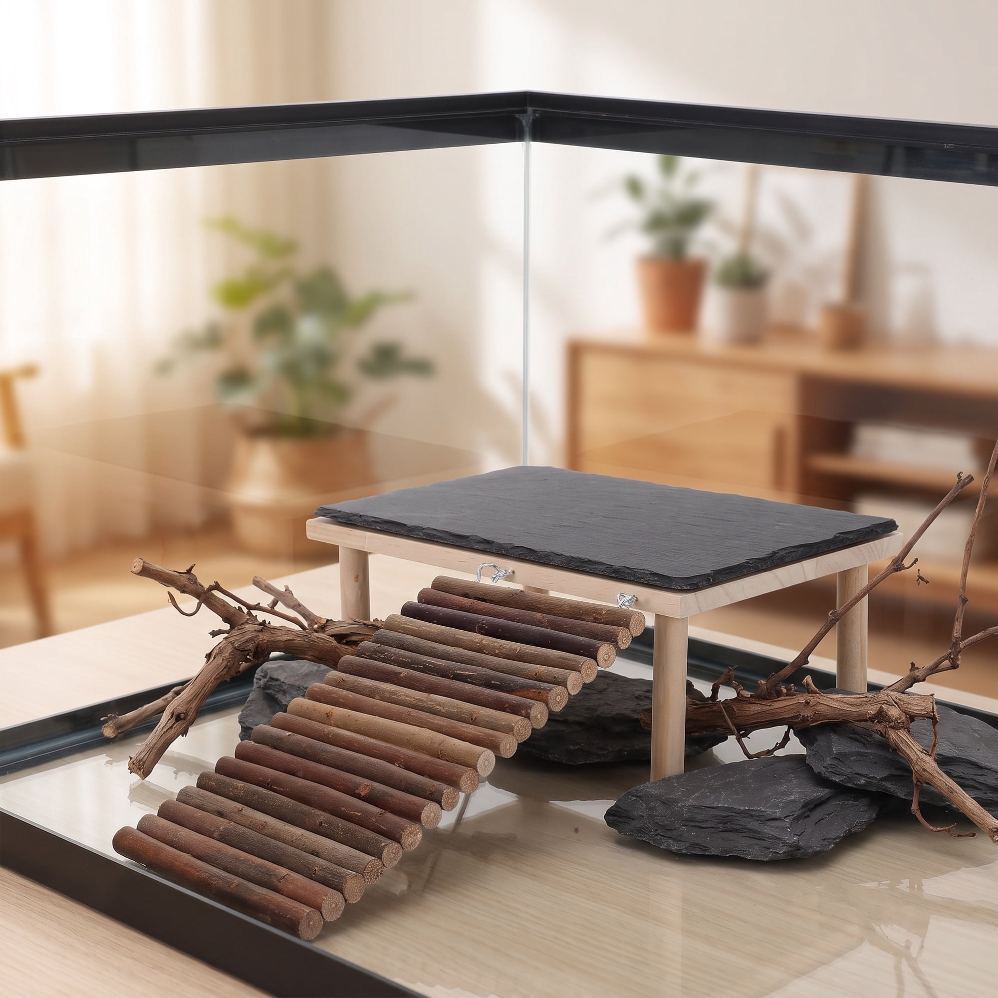 TAILTOSS 1 Set Bearded Dragon Tank Accessories Tortoise Basking Platform