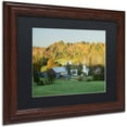 thumbnail image 2 of Trademark Fine Art "Fall Pastoral" Canvas Art by Michael Blanchette Photography Black Matte, Wood Frame, 2 of 4