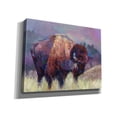 thumbnail image 2 of Epic Graffiti 'Buffalo Roam' by Robert Jackson, Canvas Wall Art, 34"x26", 2 of 8