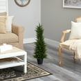 thumbnail image 5 of Nearly Natural 2.5' Cypress Artificial Tree UV Resistant (Indoor/Outdoor), 5 of 5