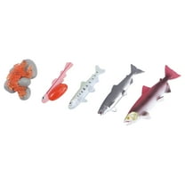 MUSEYA 4Pcs Fish Life Cycle Figurines Lifelike ABS Cognitive Toy Living Room