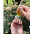 thumbnail image 2 of Bolígrafo de aceite para cutículas Bliss Kiss recargable de 8 ml con empujador, 2 of 8