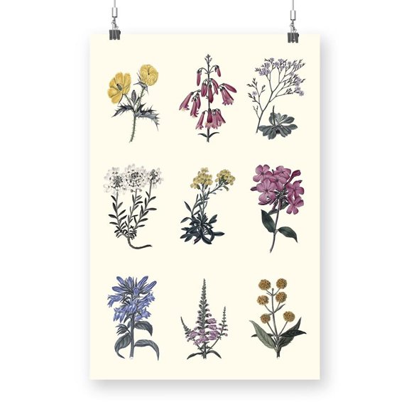 Antique Floral Chart. Poster - Vision Studio Designs,
