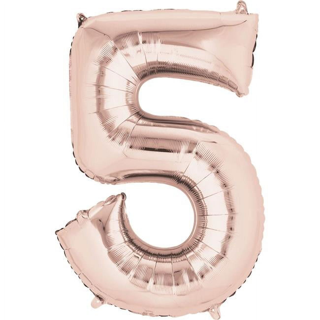 SUPERSHAPE 5 ROSEG - FRENCH