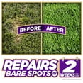 Pennington One Step Complete Dense Shade Patch & Repair Grass Seed Mix, Partial to Full Shade, 5 lb.