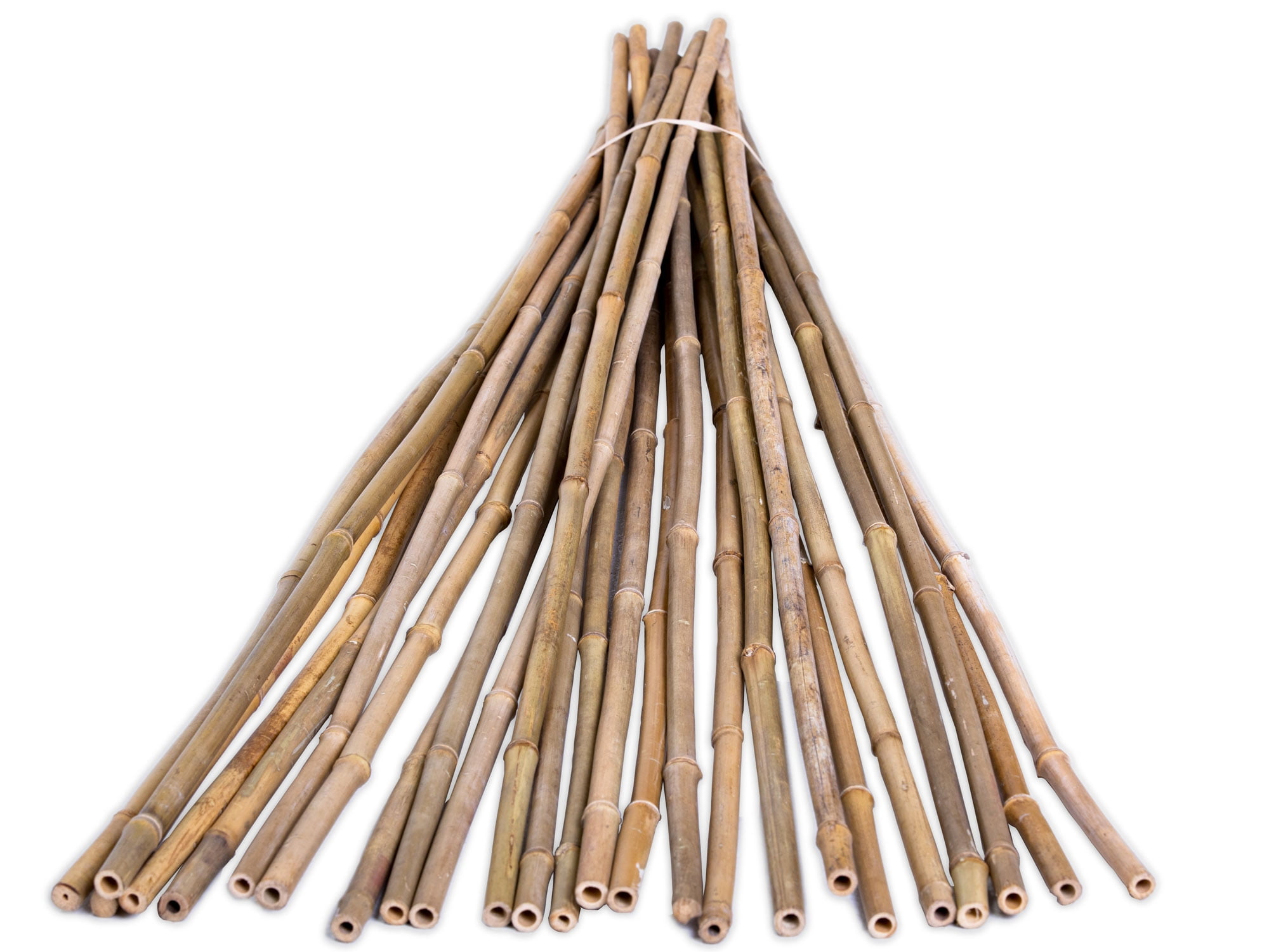 12 Green Bamboo Poles 36” Long 