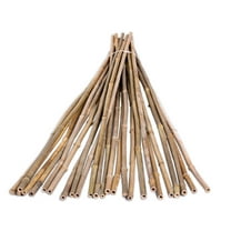 Backyard X-Scapes 48" Plant Support Bamboo Garden Stakes Natural (25 Pieces)