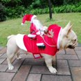 thumbnail image 2 of Disfraz de Papá Noel para perro NQ Mediano Ropa navideña para mascotas, 2 of 5
