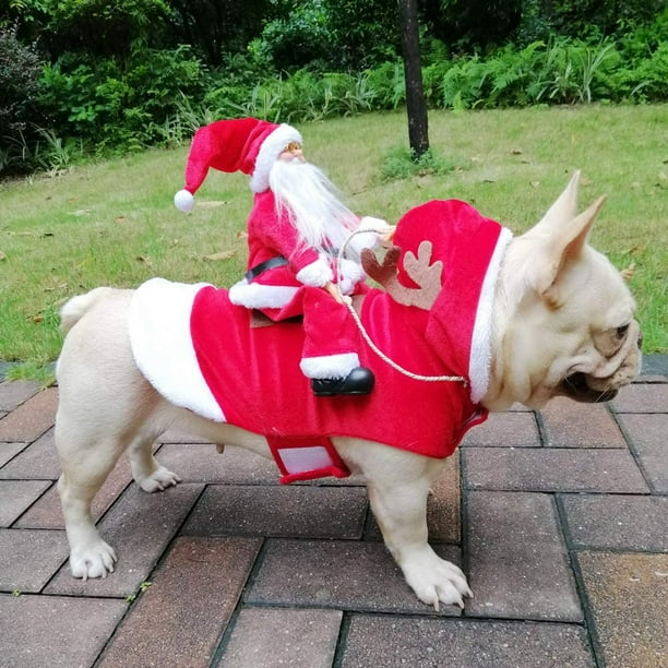 Dog rider pet costume hot sale