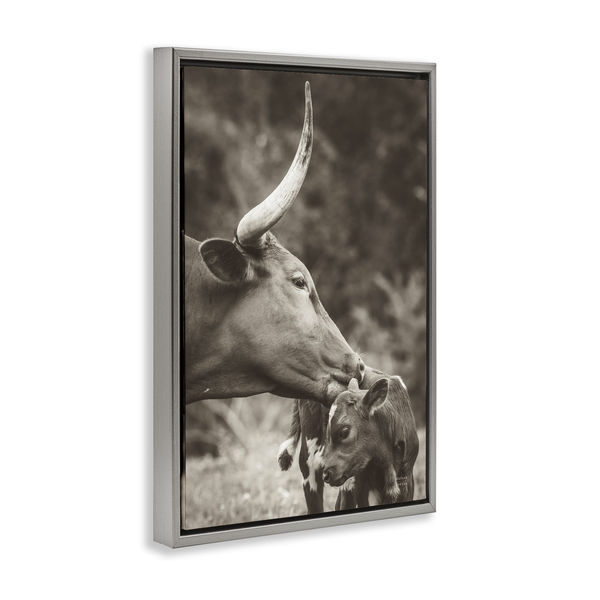 Stupell Industries Longhorn Kissing Baby Animals Photography Gray Floater Framed Canvas Art Print Wall Art, 17 x 25