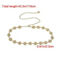 thumbnail image 6 of Zhengup 1Pc Gold Silver Color Rose Chain Belt Women Fashion Metal Thin Shiny Flower Belts Female Jeans Dress Decoration Belt, 6 of 6