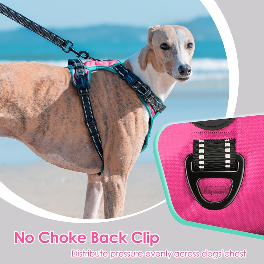 PHOEPET 2019 Upgraded No Pull Dog Harness, Reflective Adjustable Vest, with a Training Handle + 2 Metal Leash Hooks+ 3 Snap Buckles +4 Slide Buckles