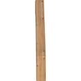thumbnail image 4 of 3 1/2"W x 20"D x 32"H Balboa Smooth Knee Brace, Western Red Cedar, 4 of 4
